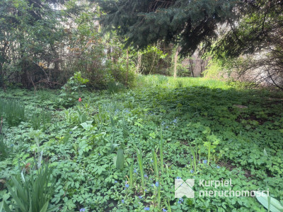 Mieszkanie z ogrodem centrum Zasania