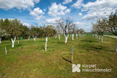 Dom z dużą działką  – 52 ary ciszy