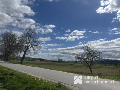 Ruszelczyce drewniany dom siedlisko na wsi