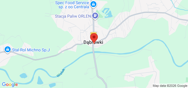 Nowoczesny dom premium z basenem na działce 20 ar