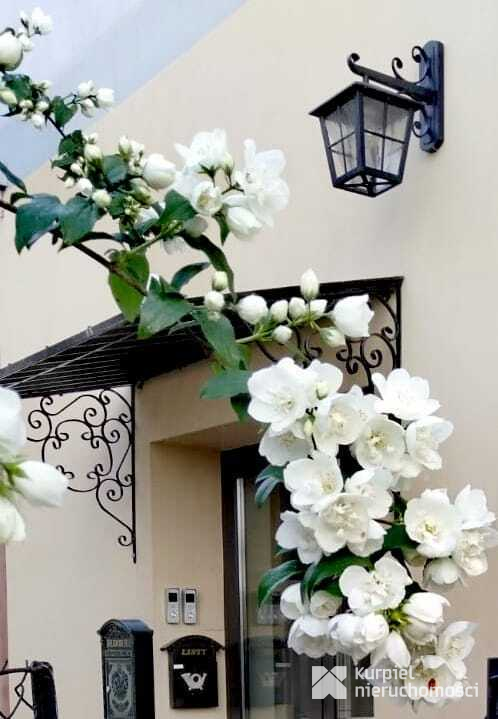 Piękna połowa Kamienicy /Przemyśl/