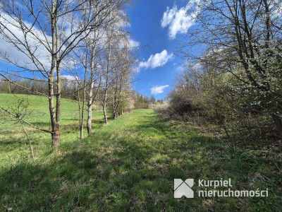5,28 ha gruntów rolnych z punktem widokowym