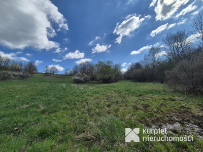 5,28 ha gruntów rolnych z punktem widokowym