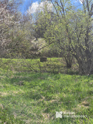 5,28 ha gruntów rolnych z punktem widokowym