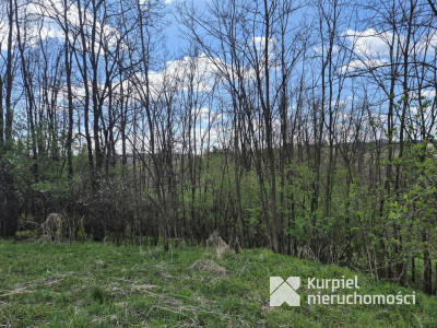 5,28 ha gruntów rolnych z punktem widokowym