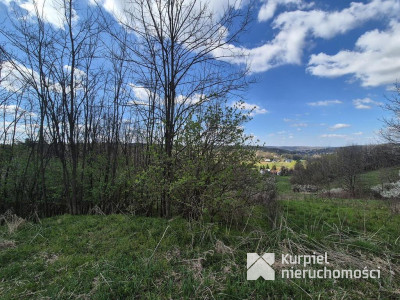 5,28 ha gruntów rolnych z punktem widokowym