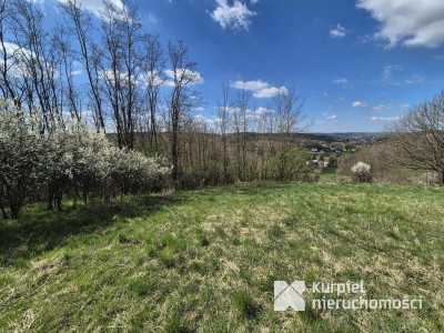 5,28 ha gruntów rolnych z punktem widokowym