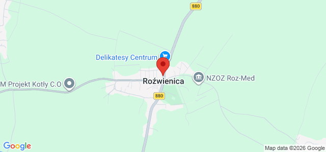 BUDYNEK KOMERCYJNY - SPRZEDAŻ/ WYNAJEM/ ROŹWIENICA