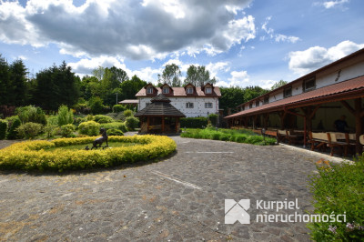 Krasiczyn na sprzedaż obiekt hotelowo-rest