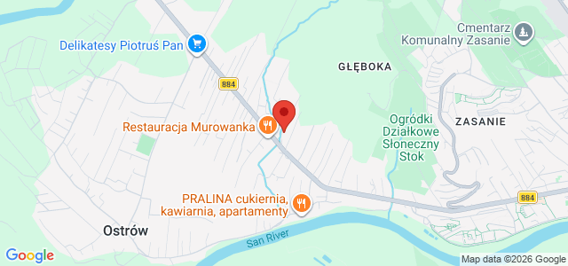 Dom z potencjałem Przemyśl ul. Radosna