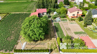 Dom z dużą działką i zabudowaniami gospodarczymi