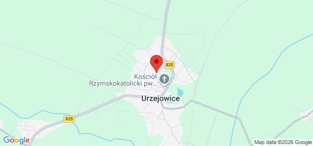 Dom z dużą działką i zabudowaniami gospodarczymi