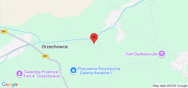 Orzechowce niewielki parterowy dom