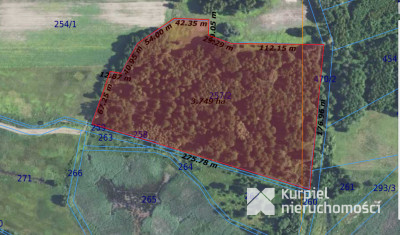 Wyjątkowa działka rolno-leśna z warunkami zabudowy