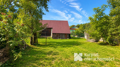 Drewniany domek z dużą działką przy lesie