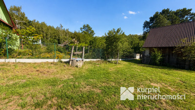 Drewniany domek z dużą działką przy lesie