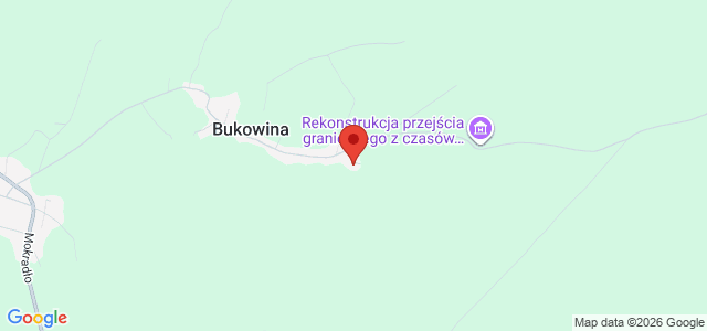 Drewniany domek z dużą działką przy lesie