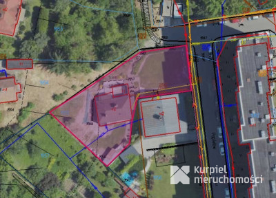 Dom z ogrodem i garażem w centrum Przemyśla
