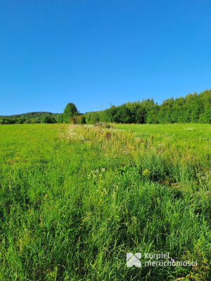 Działka budowlana w Pisarowcach