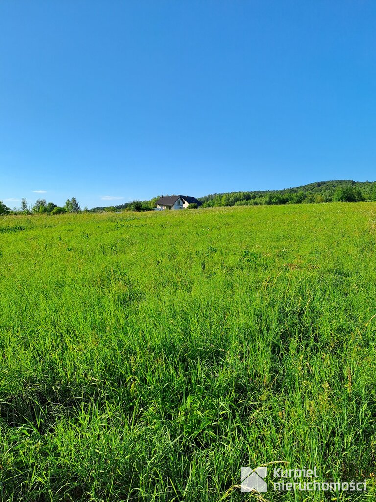 Działka budowlana w Pisarowcach