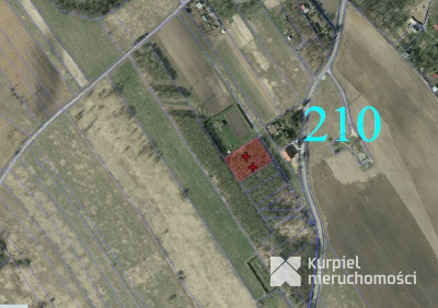 Działka budowlana 19,65a/ul. Grochowska/MPZP