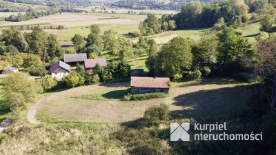 Działka budowlana 25 ar. z drewnianą chatą 8 km od Krasiczyna