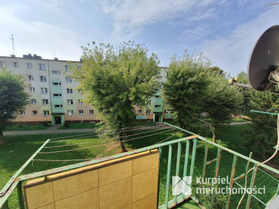 3 pokojowe mieszkanie na wynajem na os. Kmiecie