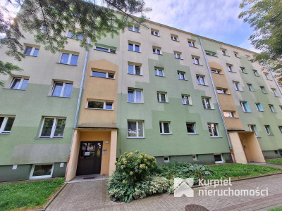 3 pokojowe mieszkanie na wynajem na os. Kmiecie