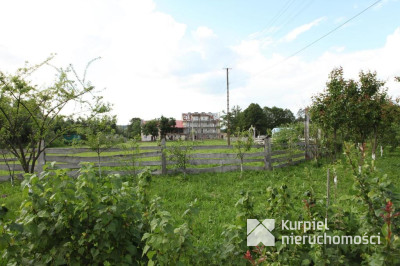 Obiekt komercyjny na sprzedaż o pow. 1 000,00 m2