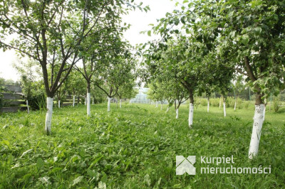 Obiekt komercyjny na sprzedaż o pow. 1 000,00 m2