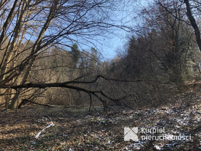 Widokowa działka na sprzedaż