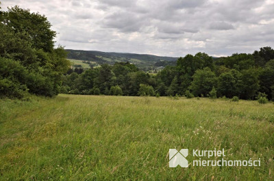 Działka na sprzedaż o pow. 136 900,00 m2