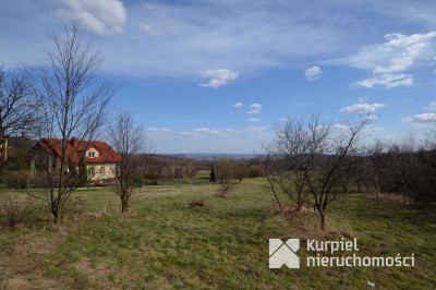 Działka na sprzedaż o pow. 8 000,00 m2