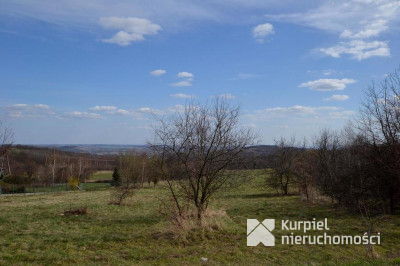 Działka na sprzedaż o pow. 8 000,00 m2