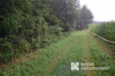 LAS w Reczpolu 25 arów w pobliżu SANU